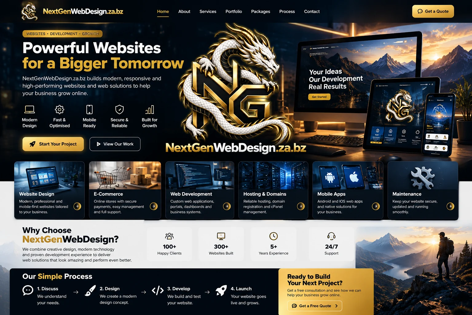 Responsive NextGen website concept